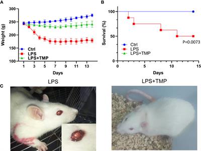 Tetramethylpyrazine Ameliorates Lipopolysaccharide-Induced Sepsis in Rats via Protecting Blood–Brain Barrier, Impairing Inflammation and Nitrous Oxide Systems